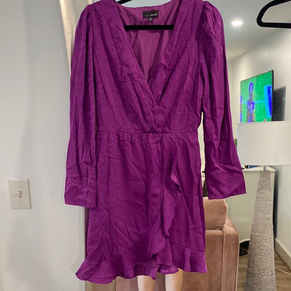 Purple Lucy Paris dress!